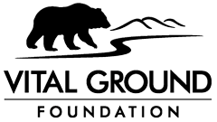 Vital Ground Foundation